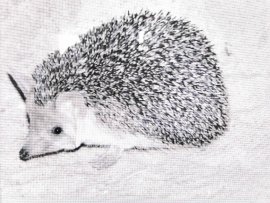 IGeL-Leistungen_Bild Igel